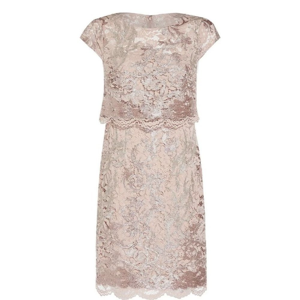 NWT Adrianna Papell Dusty Rose Embroidered Lace Popover Dress Size 2 NEW - Picture 3 of 15